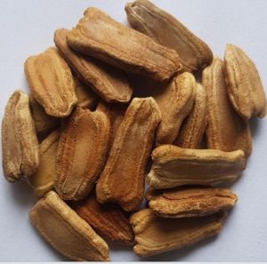 Bottle Gourd Seeds, Color : Brown