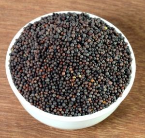 Mustard Seed Black, Weight : 200g