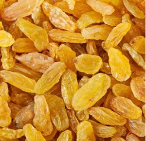 Yellow Raisins Premium
