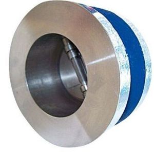 Dual Plate Check Valve