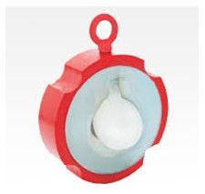 PTFE Lined Water Type Check Valve