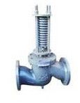 Straight And Angle Type Safety Valve for Relieve Excessive Pressure