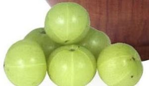 Fresh Amla, Color : Green, Taste : Sour Tangy