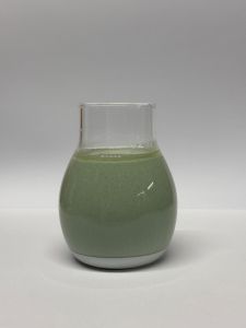 Foundry Chemicals Coating