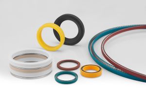 PTFE Spring Energized Seals