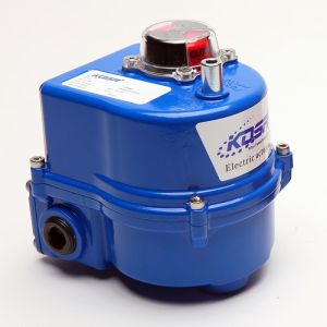 Spur Gear Electric Actuators