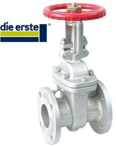 Stainless Steel Flanged Gate Valves
