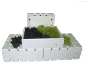 Thermocol Fruits Packaging Box, Color : White