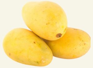 Fresh Mango,  Shelf Life : 1-5Days