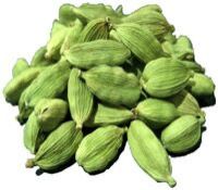 Cardamom Select Oil for Aromatherapy