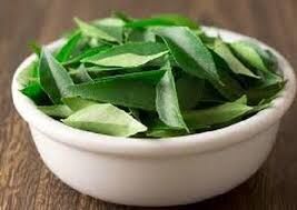 Curry Leaves, Color : Green, Form : Fresh for Cooking