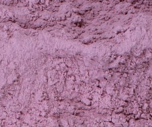 Dehydrated Pink Onion Powder for Cooking