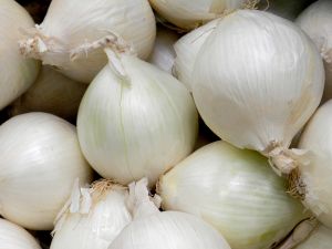 Fresh White Onion