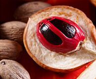 Nutmeg Oil, Purity : 100% Pure Natural