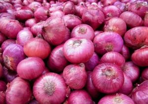 Fresh Pink Onion Medium
