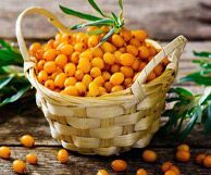 Sea Buckthorn Seed Oil for Skincare