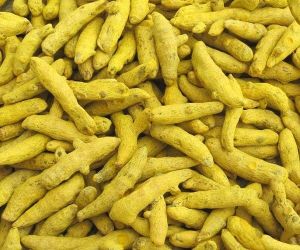 Turmeric Whole, Color : Yellow for Cooking