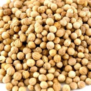 Coriander Seeds,  Grade Standard : Food Grade