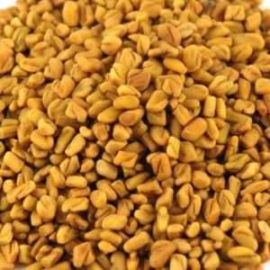 Natural Fenugreek Seeds for Cooking, Medicinal, Health Supplements