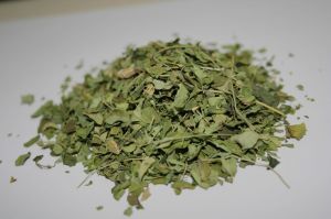 Moringa Leaves