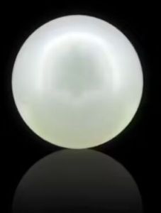 South Sea Pearl – 12.05 Carat, Color : White