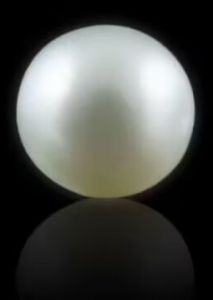 South Sea Pearl – 12.00 Carat, Color : White