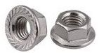 Flange Nuts