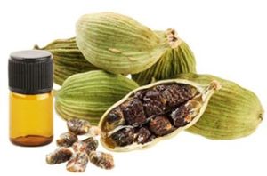 Cardamom Oil