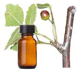 Linaloe Essential Oils