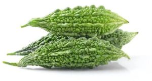 Fresh Bitter Gourd, Color : Green for Managing Diabetes