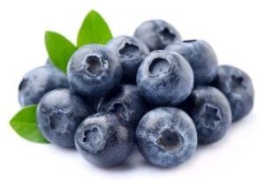 Fresh Blueberry