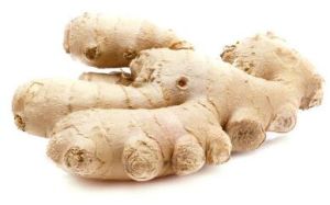 Fresh Ginger, Color : Brown, Packaging Type : Bulk, Form : Whole