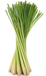 Fresh Lemongrass, Color : Green