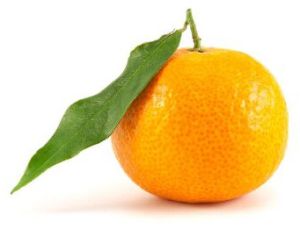 Fresh Mandarin Orange
