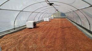 Dehydrator Dryer, Packaging Type : Box for Food Dehydration