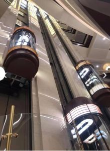 Capsule Elevators
