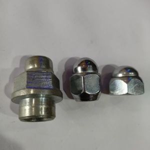 Stainless Steel Hex Cap Nut M 12