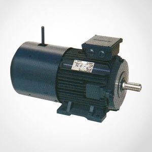 Brake Motors