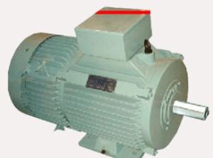 Crane Duty Ks Motors