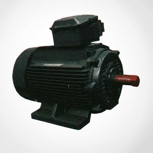 Crane Duty Sq. Cage Motors Kd