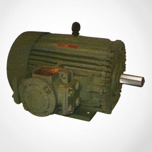 Flame Proof LV Motors