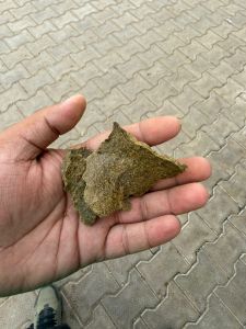 Mustard Oil Cake, Color : natural, Brand Name : SVI