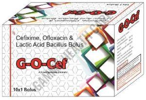 G-O CEF Antibiotic Bolus