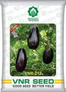 Vnr Grafted Brinjal  Plant