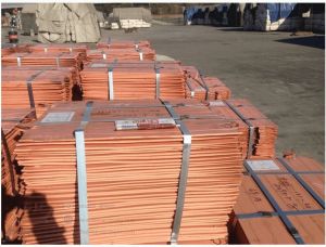 Copper Cathode Scrap, Color : Brown, Brand Name : Custom