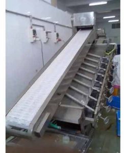 Fish Grading Conveyor Machine