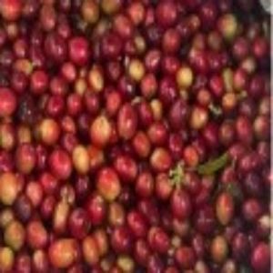 Arabica Robusta Coffee Beans, Form : Parchment