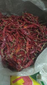 Guntur Red Chilli Guntur Red Chilli