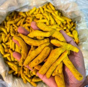 Turmeric Finger