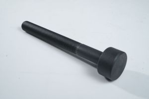 Black Stainless Steel Round Head Plow Bolt